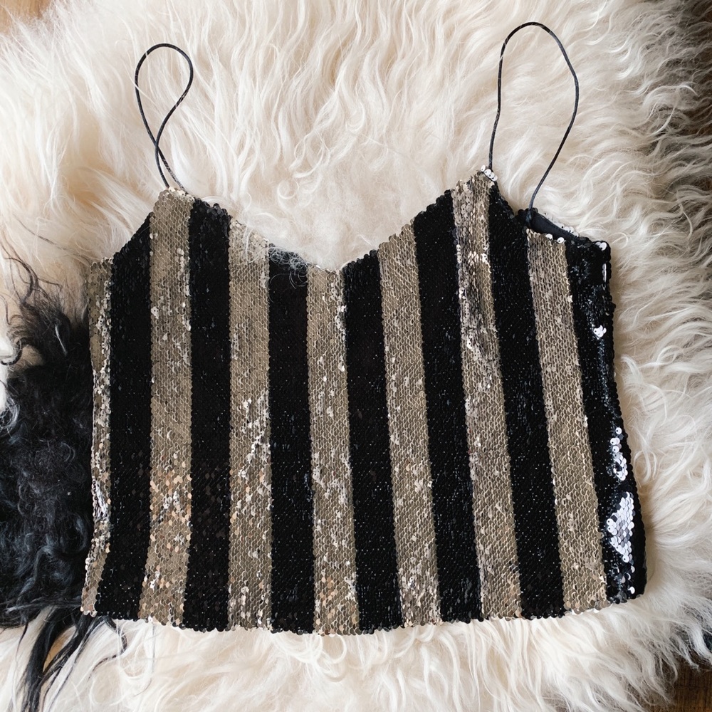 ZARA Striped Cropped Sequin Top